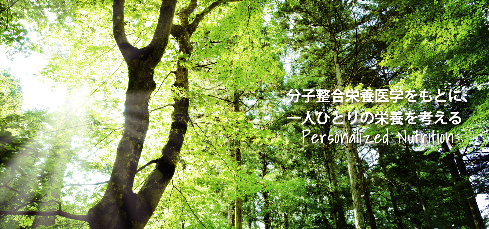 株式会社ケイショウカイ